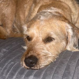 Meet your Posher, Denise